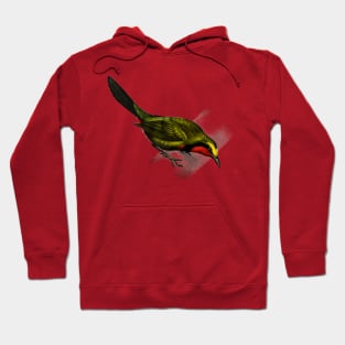 Vintage lanius gutturalis bird-animalia clothing Hoodie